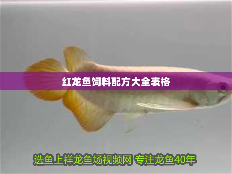 紅龍魚飼料配方大全表格