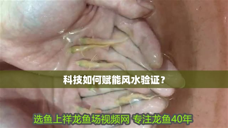 科技如何賦能風(fēng)水驗(yàn)證？