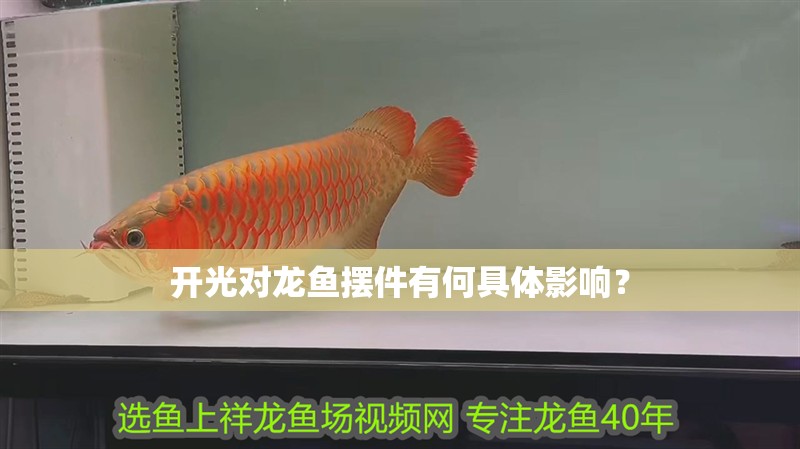 開光對龍魚擺件有何具體影響？