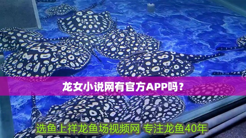 龍女小說網(wǎng)有官方APP嗎？