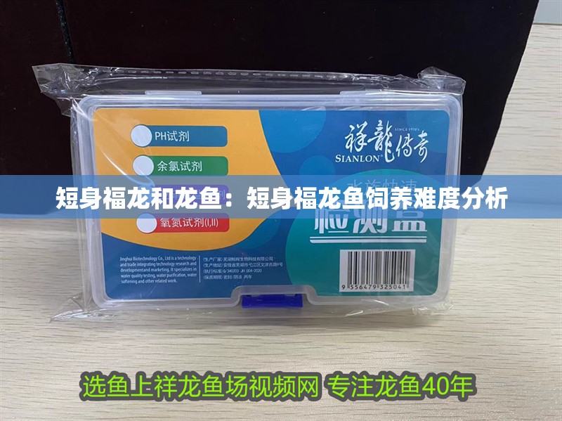 短身福龍和龍魚：短身福龍魚飼養(yǎng)難度分析