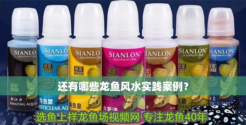 還有哪些龍魚風水實踐案例？