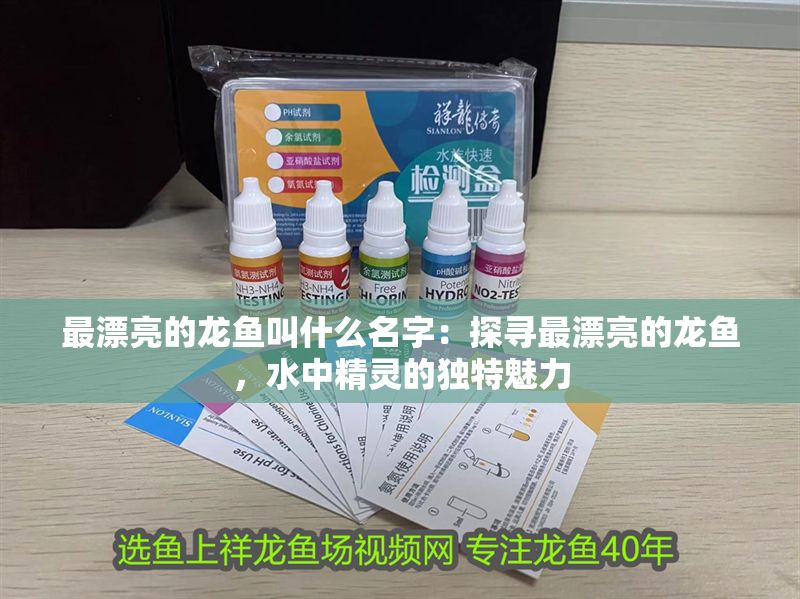 最漂亮的龍魚(yú)叫什么名字：探尋最漂亮的龍魚(yú)，水中精靈的獨(dú)特魅力