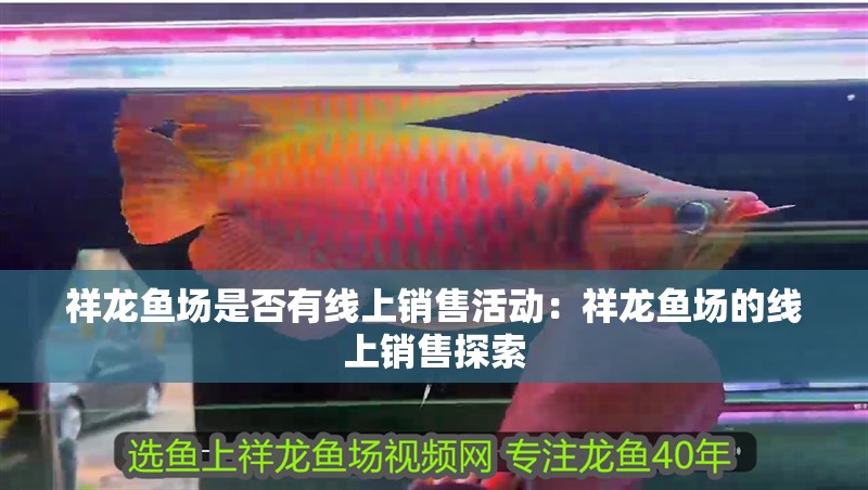 祥龍魚場是否有線上銷售活動：祥龍魚場的線上銷售探索