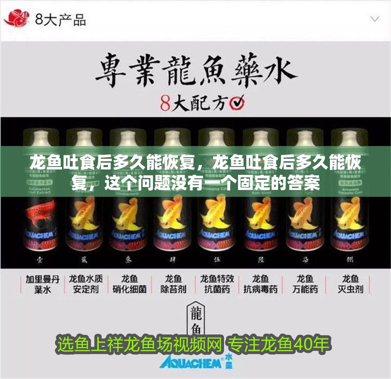 龍魚吐食后多久能恢復，龍魚吐食后多久能恢復，這個問題沒有一個固定的答案