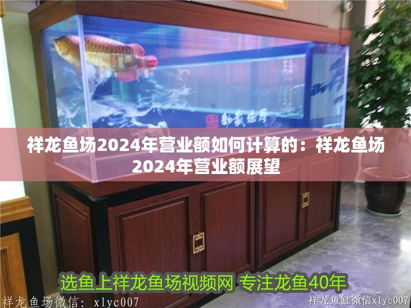 祥龍魚場2024年?duì)I業(yè)額如何計(jì)算的：祥龍魚場2024年?duì)I業(yè)額展望