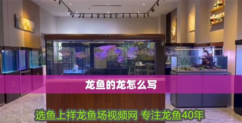 龍魚的龍怎么寫