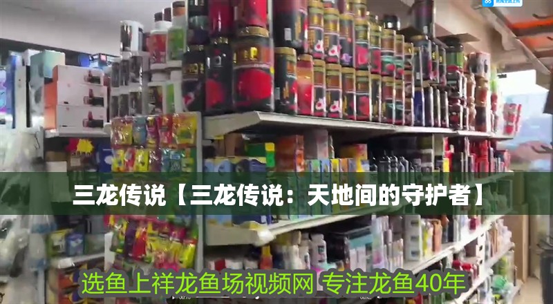 三龍傳說【三龍傳說:天地間的守護者】 龍魚論壇 三龍傳說【三龍傳說:天地間的守護者】 三龍傳說【三龍傳說:天地間的守護者】 龍魚論壇