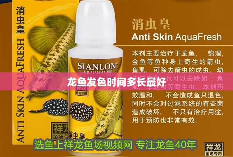 龍魚發(fā)色時間多長最好