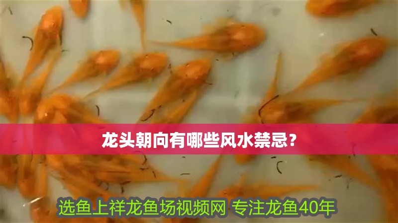 龍頭朝向有哪些風(fēng)水禁忌？