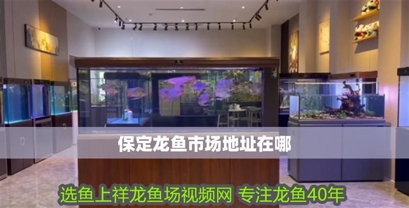 龍魚壓養(yǎng)手法（龍魚壓養(yǎng)手法手法龍魚壓養(yǎng)手法）