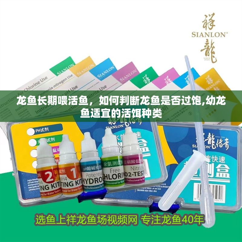 龍魚長期喂活魚，如何判斷龍魚是否過飽,幼龍魚適宜的活餌種類