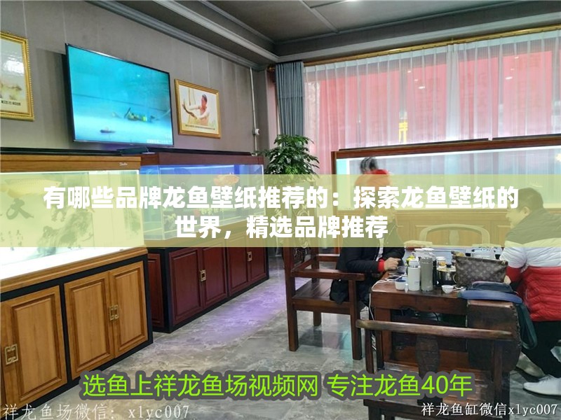 有哪些品牌龍魚壁紙推薦的：探索龍魚壁紙的世界，精選品牌推薦