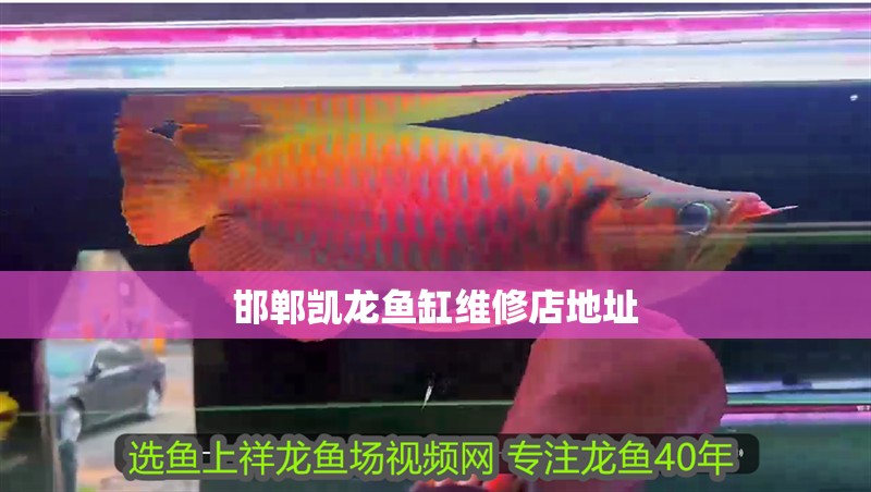 邯鄲凱龍魚缸維修店地址