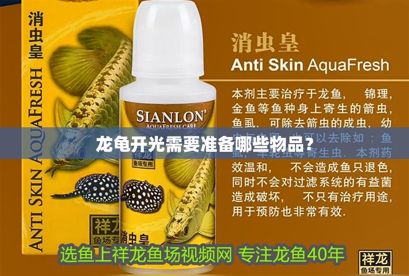 龍龜開光需要準(zhǔn)備哪些物品？