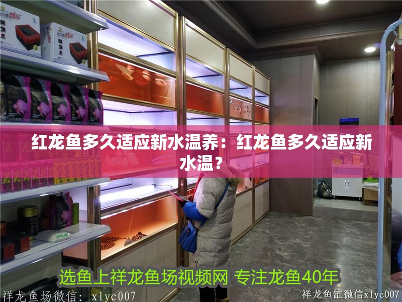 紅龍魚多久適應新水溫養：紅龍魚多久適應新水溫？