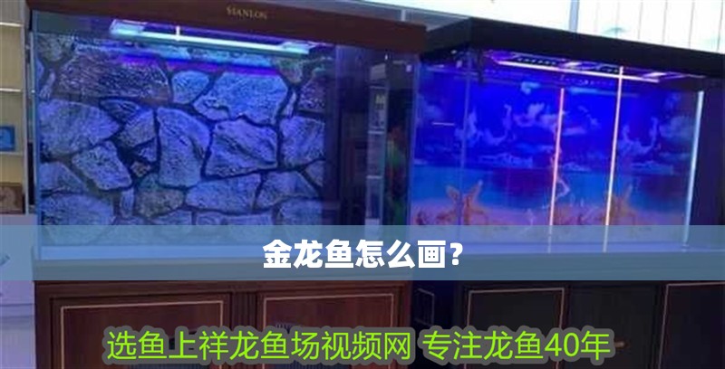 金龍魚怎么畫？