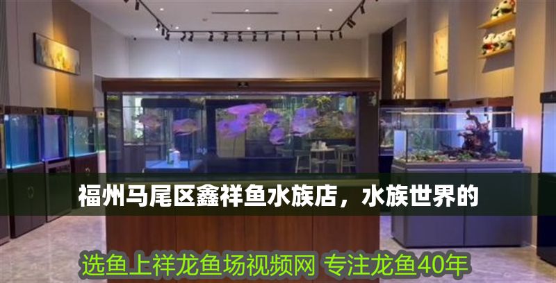 福州馬尾區鑫祥魚水族店，水族世界的