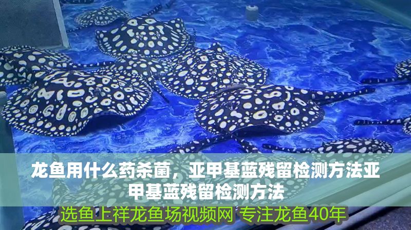 龍魚用什么藥殺菌，亞甲基藍殘留檢測方法亞甲基藍殘留檢測方法