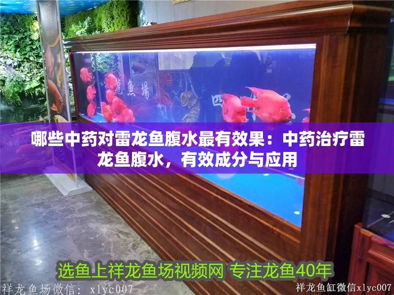 哪些中藥對雷龍魚腹水最有效果：中藥治療雷龍魚腹水，有效成分與應用