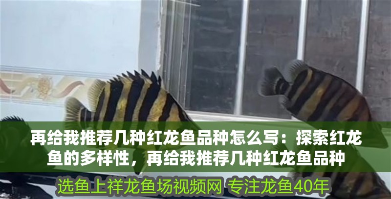 再給我推薦幾種紅龍魚品種怎么寫：探索紅龍魚的多樣性，再給我推薦幾種紅龍魚品種