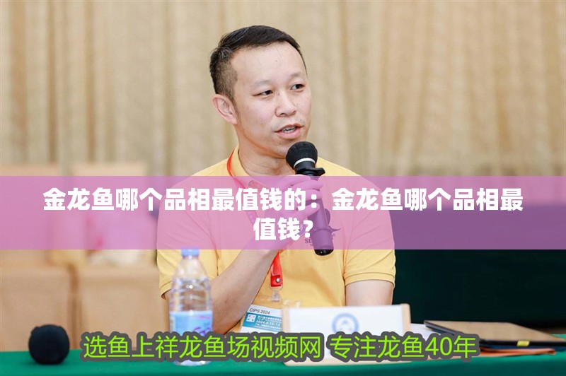 金龍魚哪個品相最值錢的：金龍魚哪個品相最值錢？