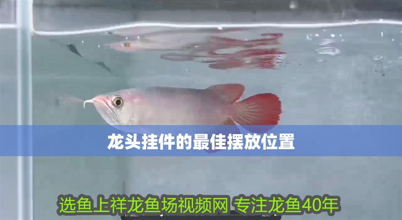 龍頭掛件的最佳擺放位置