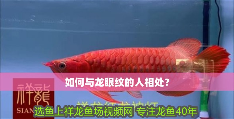 如何與龍眼紋的人相處？