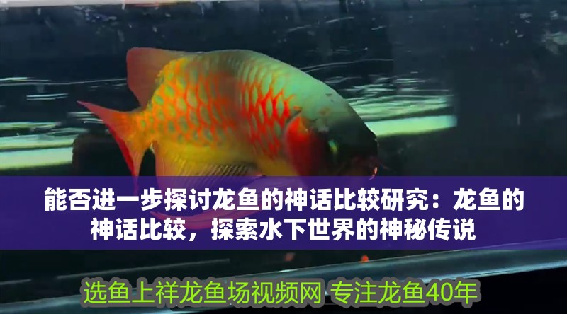 能否進一步探討龍魚的神話比較研究：龍魚的神話比較，探索水下世界的神秘傳說
