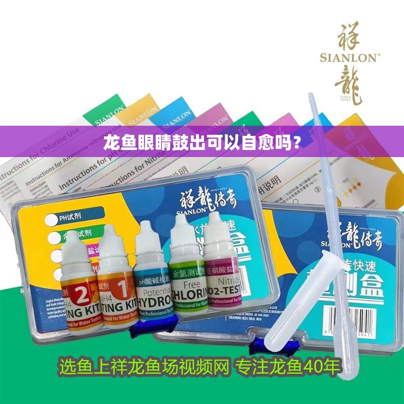 龍魚(yú)眼睛鼓出可以自愈嗎？