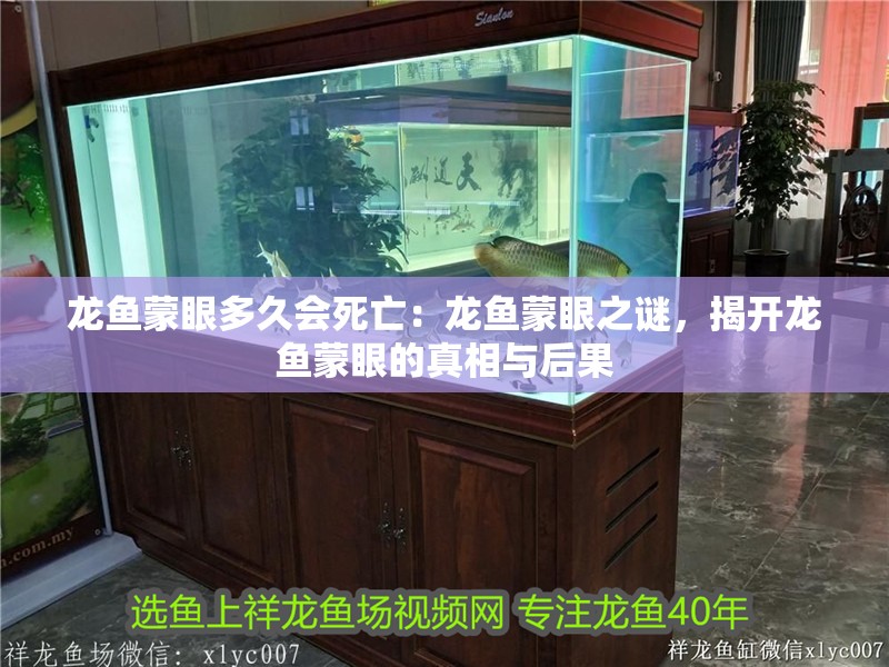 龍魚蒙眼多久會死亡：龍魚蒙眼之謎，揭開龍魚蒙眼的真相與后果