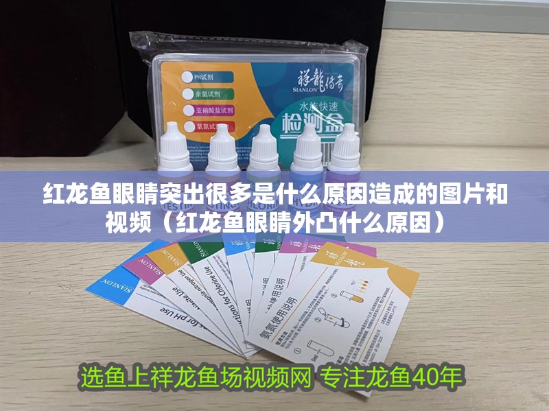 紅龍魚眼睛突出很多是什么原因造成的圖片和視頻（紅龍魚眼睛外凸什么原因）