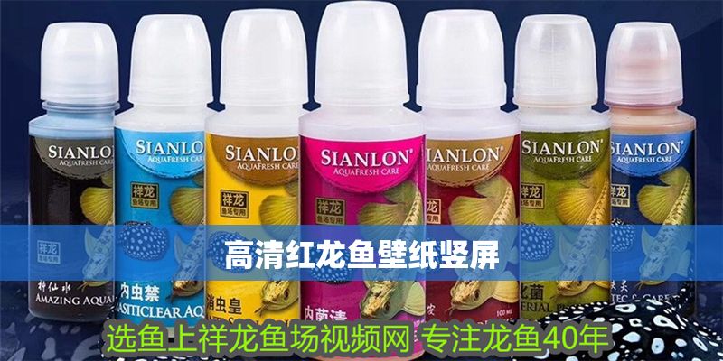 高清紅龍魚壁紙豎屏