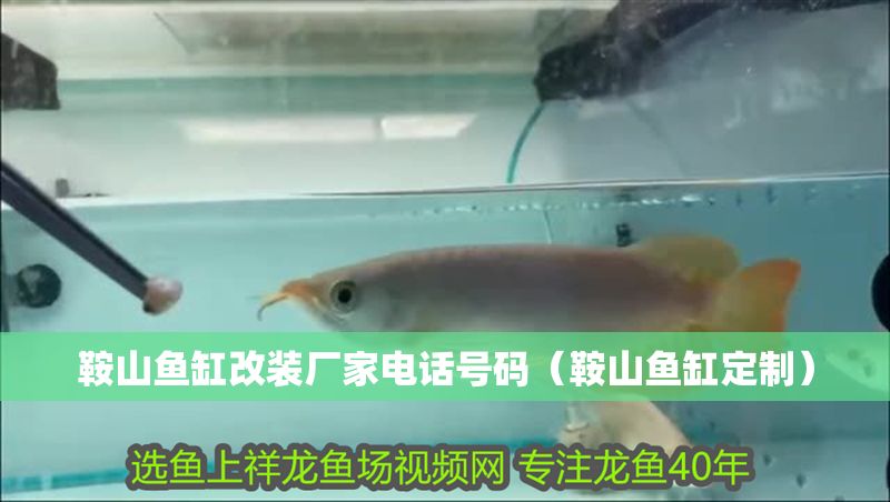 鞍山魚缸改裝廠家電話號(hào)碼（鞍山魚缸定制）