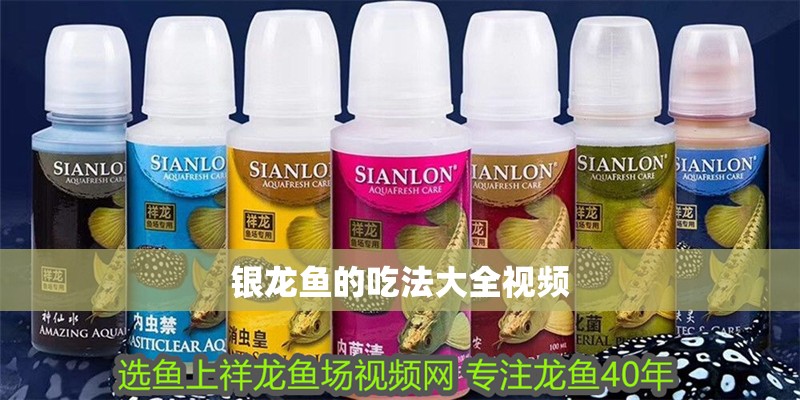 銀龍魚的吃法大全視頻