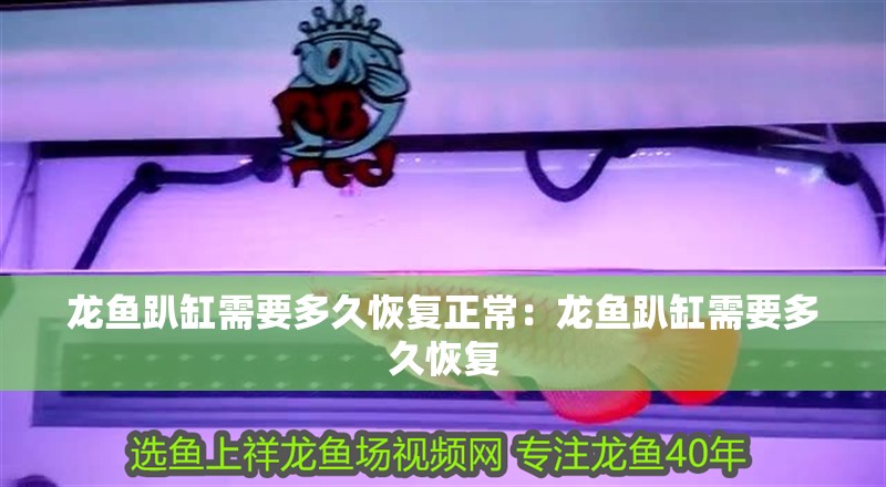 龍魚趴缸需要多久恢復(fù)正常：龍魚趴缸需要多久恢復(fù)