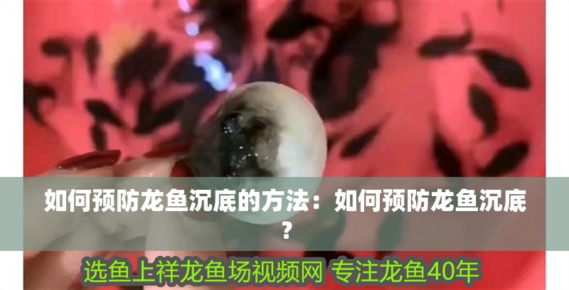 如何預(yù)防龍魚沉底的方法：如何預(yù)防龍魚沉底？