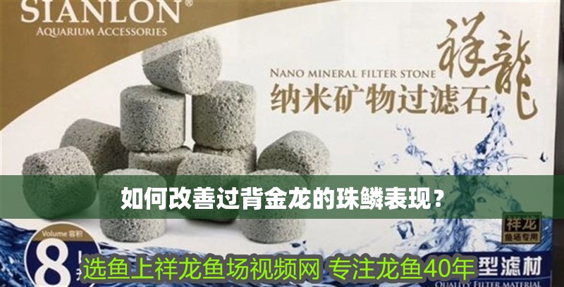 如何改善過背金龍的珠鱗表現？