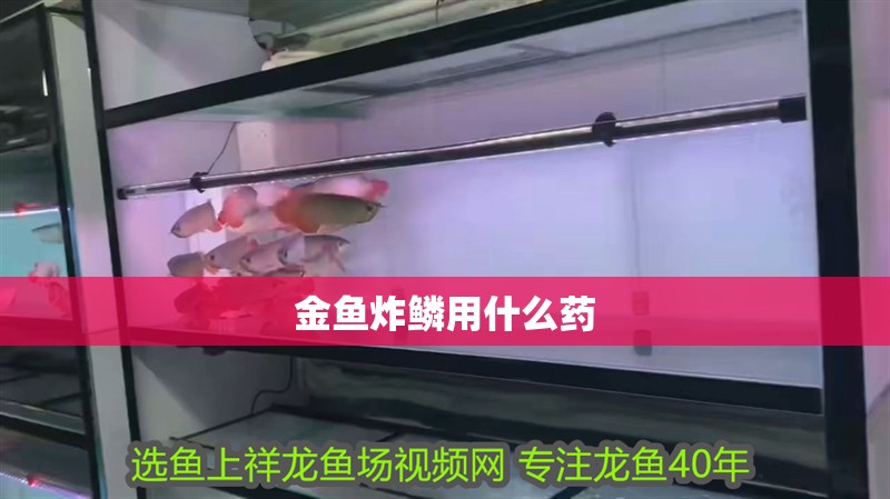 金魚炸鱗用什么藥
