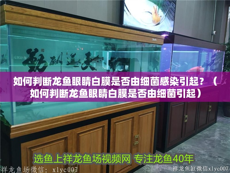 如何判斷龍魚眼睛白膜是否由細菌感染引起？（如何判斷龍魚眼睛白膜是否由細菌引起）