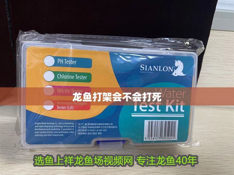 龍魚打架會不會打死