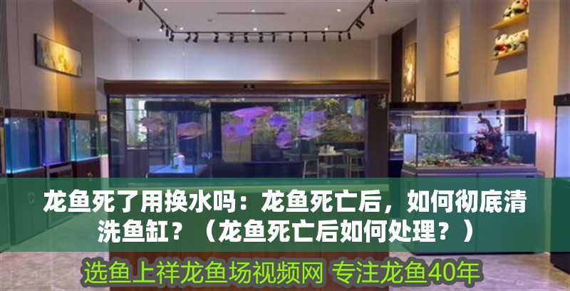 龍魚(yú)死了用換水嗎：龍魚(yú)死亡后，如何徹底清洗魚(yú)缸？（龍魚(yú)死亡后如何處理？）