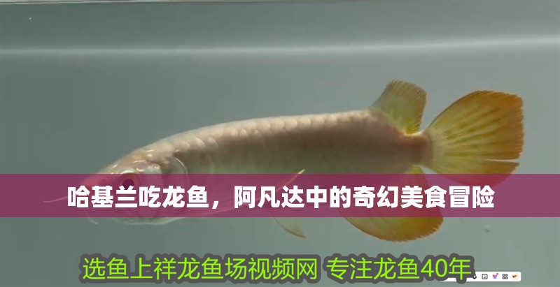 哈基蘭吃龍魚，阿凡達中的奇幻美食冒險