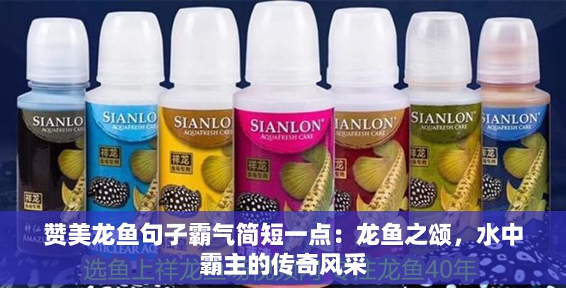 贊美龍魚句子霸氣簡短一點：龍魚之頌，水中霸主的傳奇風采