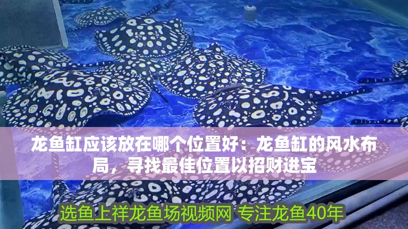 龍魚缸應該放在哪個位置好：龍魚缸的風水布局，尋找最佳位置以招財進寶