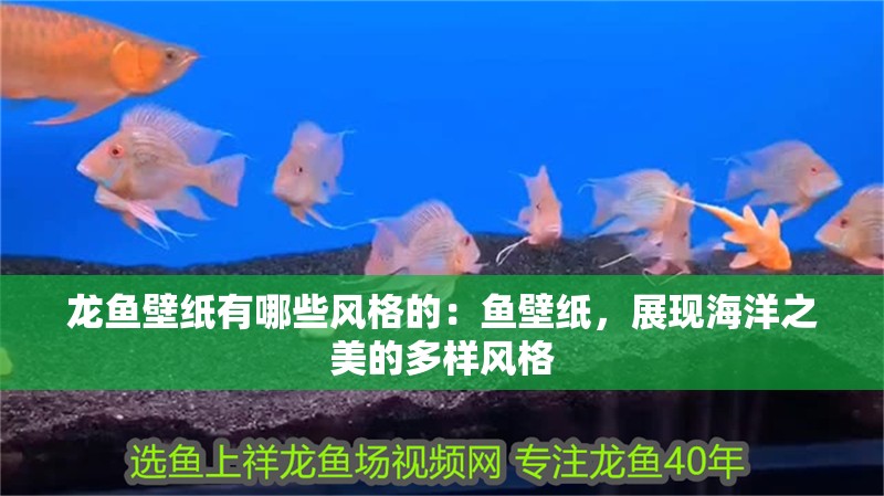 龍魚(yú)壁紙有哪些風(fēng)格的：魚(yú)壁紙，展現(xiàn)海洋之美的多樣風(fēng)格