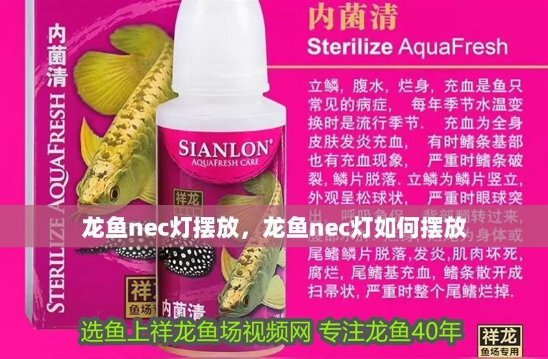 龍魚nec燈擺放，龍魚nec燈如何擺放