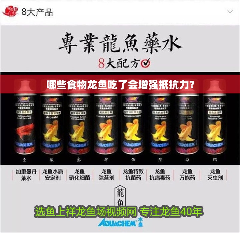 哪些食物龍魚吃了會增強抵抗力？