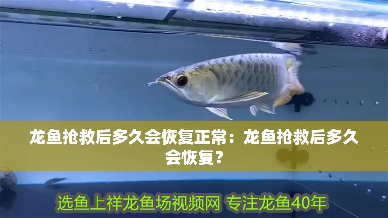 龍魚搶救后多久會恢復正常：龍魚搶救后多久會恢復？