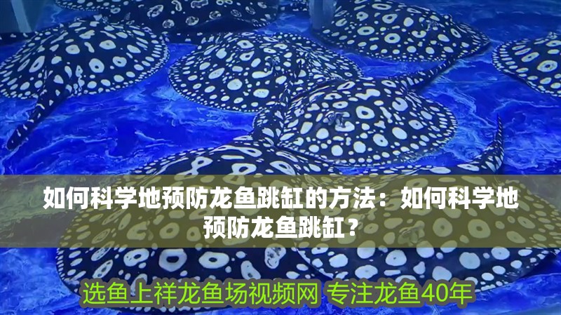 如何科學地預防龍魚跳缸的方法：如何科學地預防龍魚跳缸？